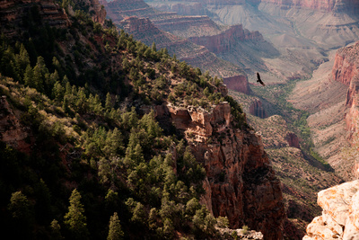 Amerikas Naturwunder - Der Grand Canyon