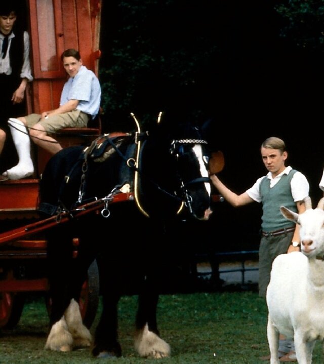 "Fünf Freunde beim Wanderzirkus": Timmy der Hund, Anne (Laura Petela), Nobby (Ben Brazier), Julian (Marco Williamson), ein Pferd, Dick (Paul Child), eine Ziege und George (Jemima Rooper) stehen zu einem Teil auf einer Wiese und sitzen zum anderen Teil auf einem roten Wagen, vor den das Pferd gespannt ist.