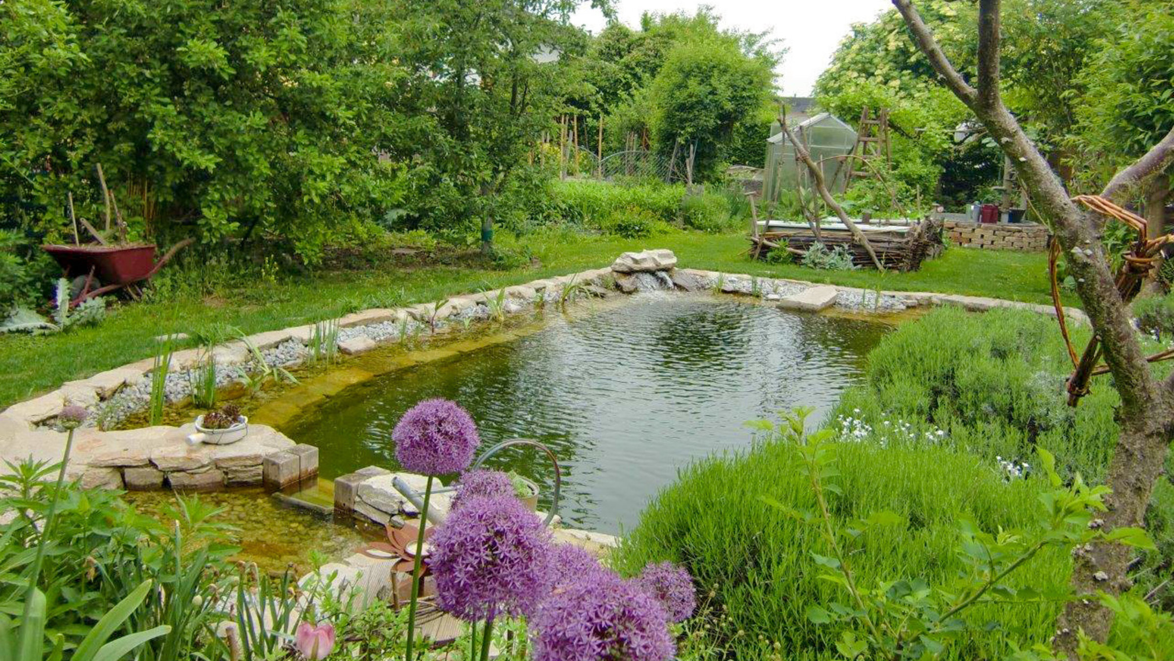 "Natur im Garten: Für Vielfalt braucht man keine großen Flächen" - Gastgarten in Furth bei Göttweig.