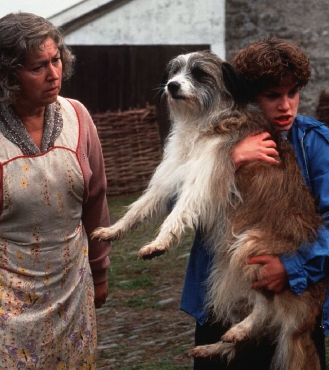 "Fünf Freunde im alten Turm": George (Jemima Rooper) hält den Hund Timmy im Arm, während Mrs. Jones (Ruth Madoc) besorgt auf diesen schaut. Die drei stehen auf einer Wiese. Im Hintergrund steht Anne (Laura Petela) vor einem eingezäunten Haus.