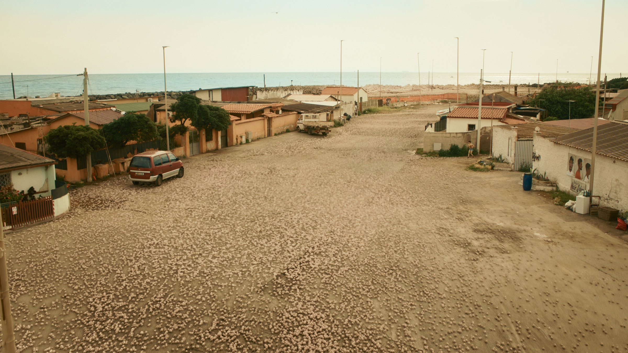 "Der Schwarm - Folge 4": Eine Krabbeninvasion zieht sich vom Meer über eine breite Dorfstraße ins Innere.