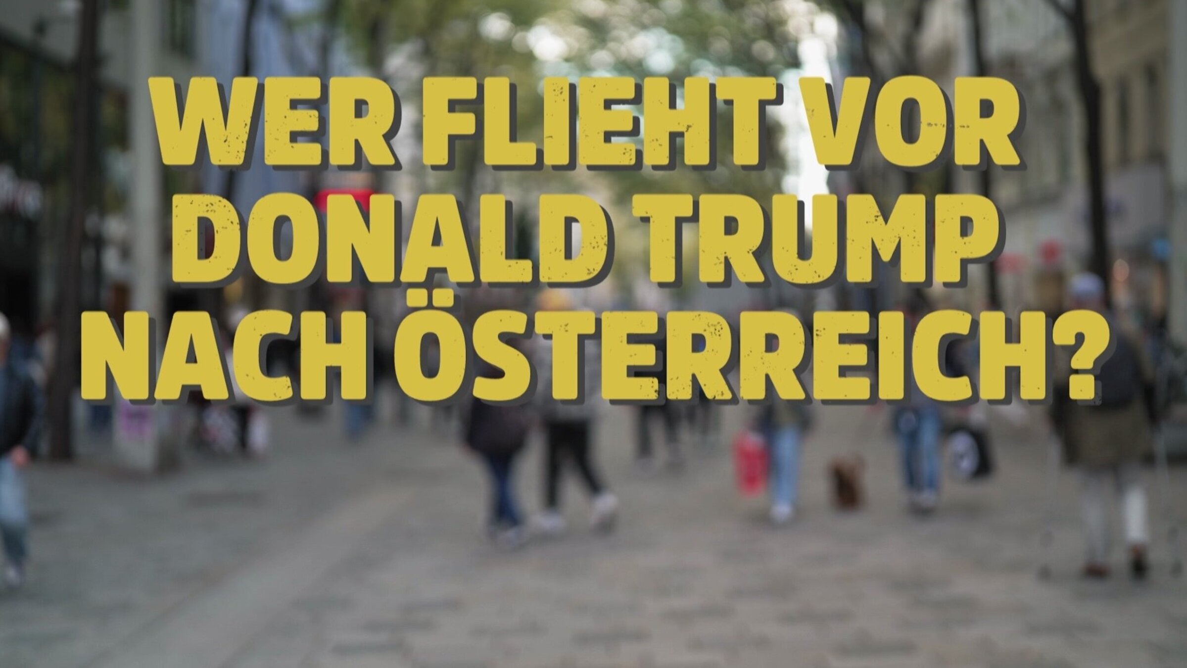 "Wer flieht vor Donald Trump nach Österreich?": Keyvisual.
