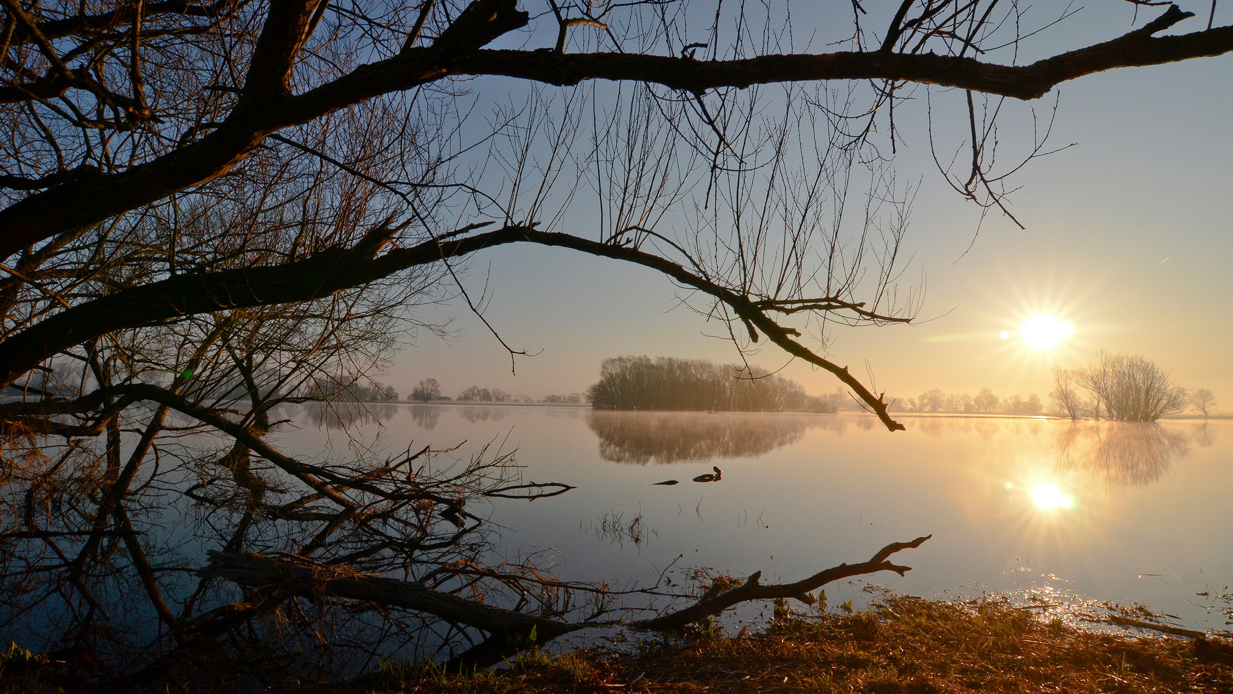 "Die Elbe (2/2) - Von Sachsen zum Wattenmeer": Sonnenaufgang am Bölsdorfer Haken bei Tangermünde. Die überschwemmten Elbauen sind die Heimat von Bibern, Fischottern und Kranichen.