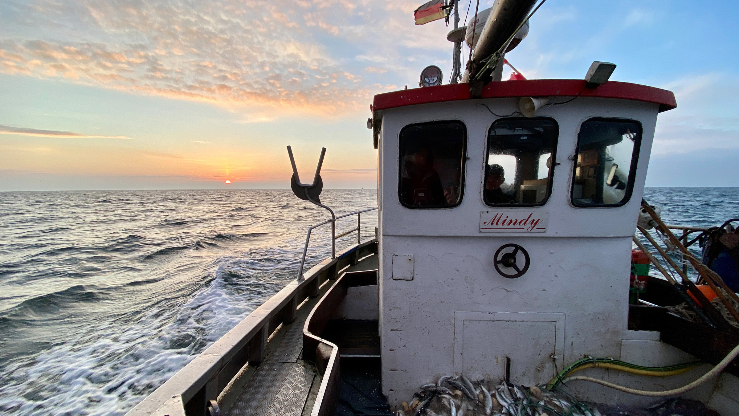 "Die Nordreportage - Der letzte Fang?  Ostseefischer vor dem Aus": Morgens nach dem Fang: "Mindy" kehrt zurück nach Freest.