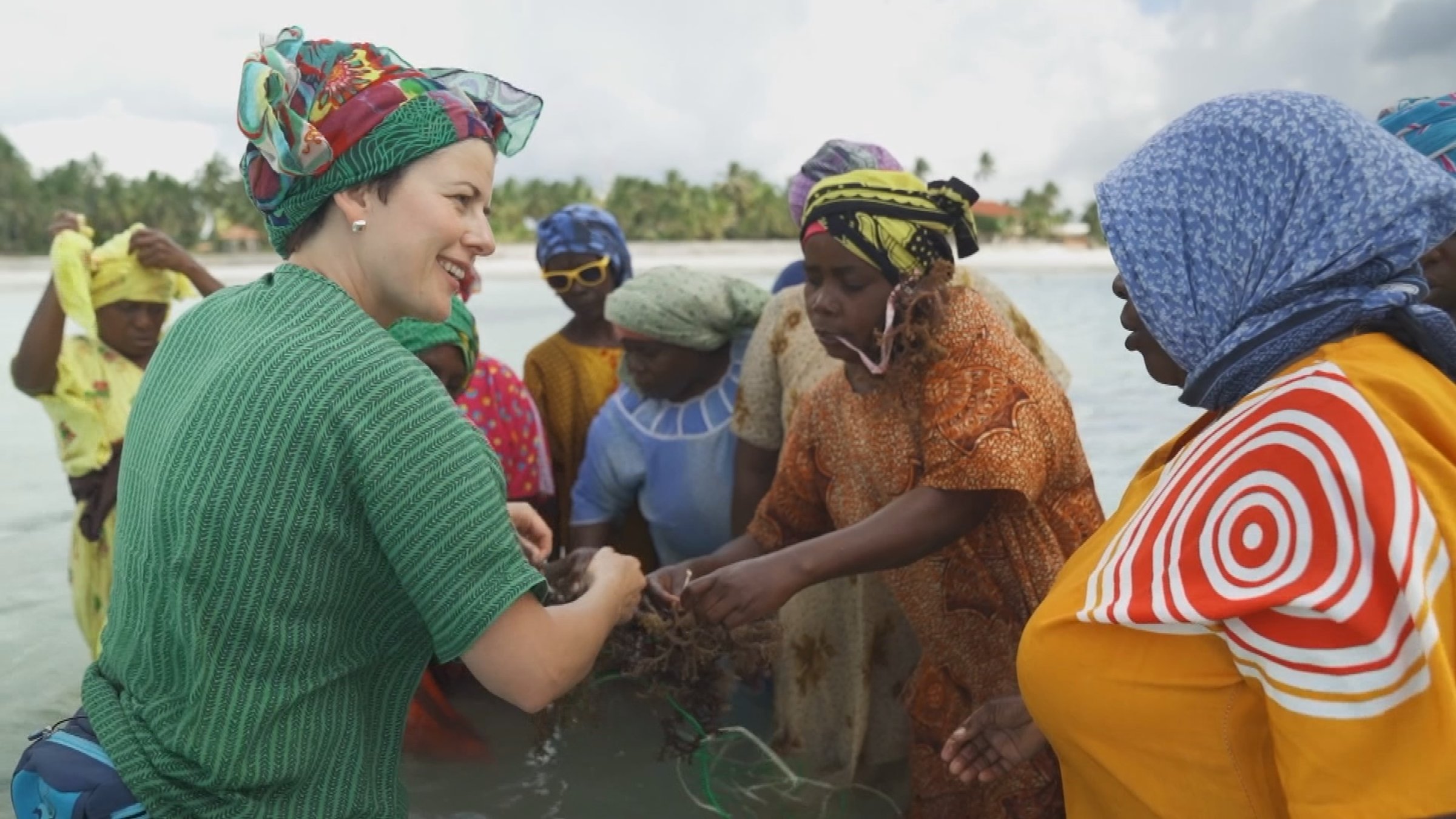 "Sansibar - Trauminseln zwischen Armut und Aufbruch": Viele Frauen in bunten Gewändern, knietief im küstennahen Wasser stehend. Sie sind mit einem Netz beschäftigt. Alle sind schwarz bis auf die Reporterin.
