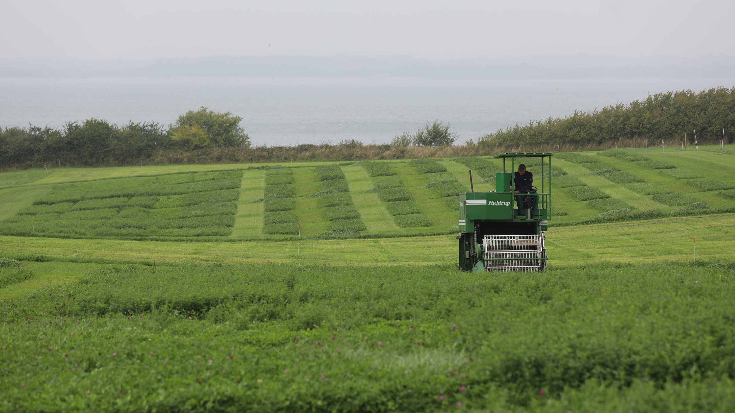 "planet e.: Europas grüne Felder - Wohin steuert die Agrarpolitik?": Traktor beim Ernten auf einem grünen Feld.