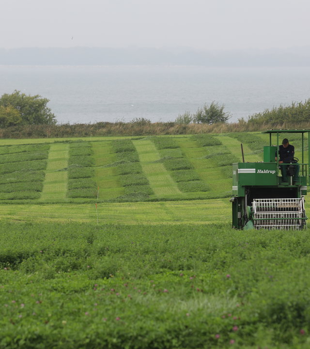 "planet e.: Europas grüne Felder - Wohin steuert die Agrarpolitik?": Traktor beim Ernten auf einem grünen Feld.