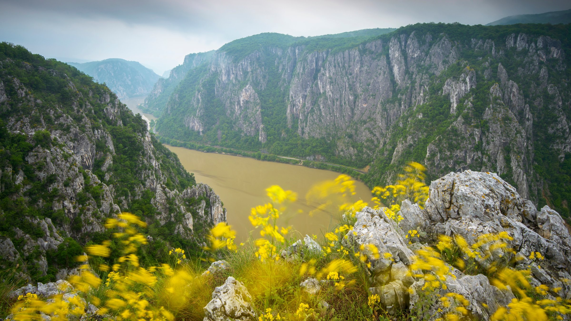 "Rumäniens wilde Schönheit (1/3) - Frühlingserwachen": Im Hintergrund windet sich ein ockerfarbener Fluss zwischen steilen Felshängen. Im Vordergrund sind gelbe Wiesenblumen zu erkennen.