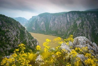 Rumäniens wilde Schönheit: Frühlingserwachen