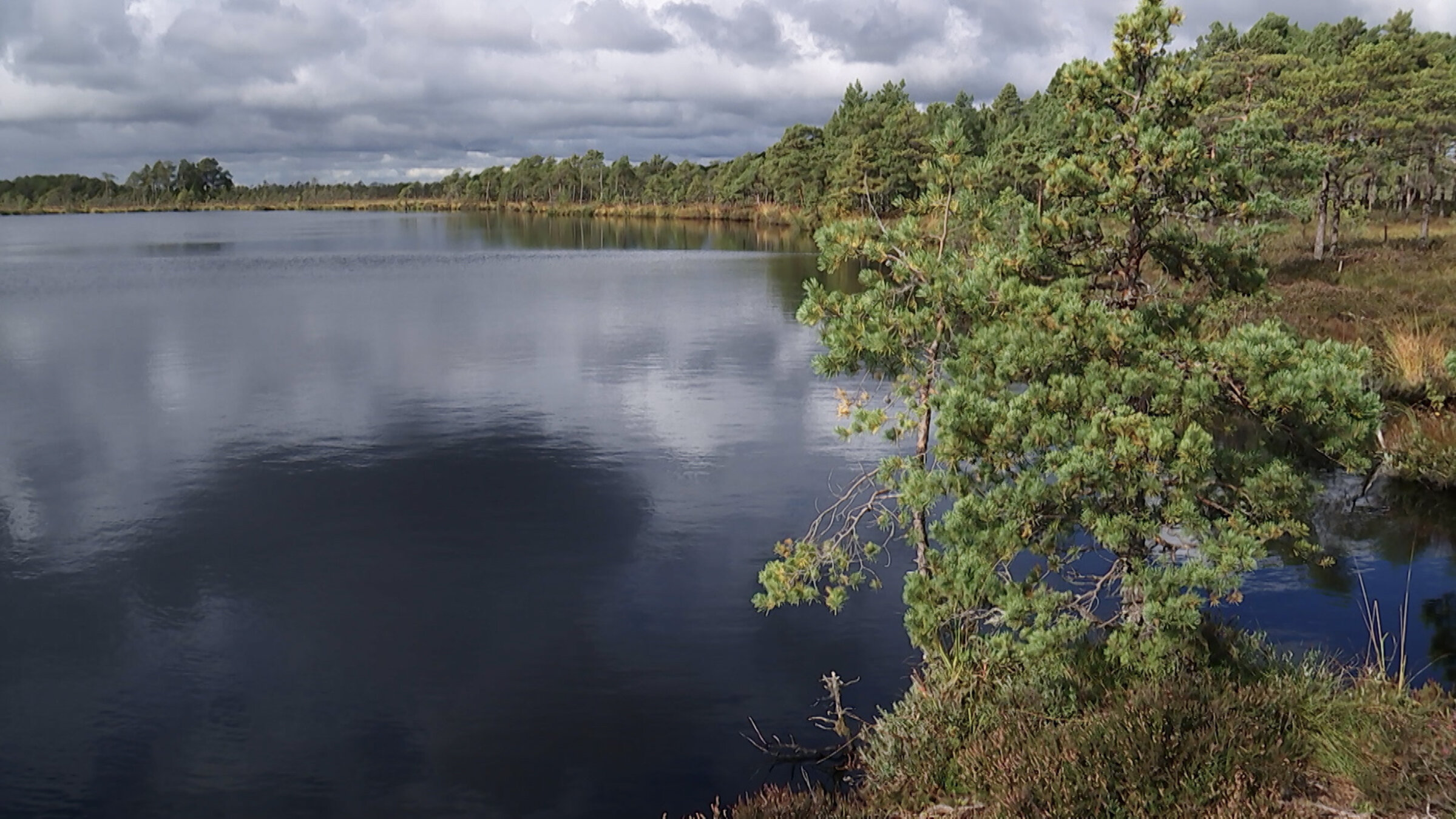 "Nationalparks im Baltikum (2/4) - Soomaa Nationalpark Estland": Das Moor von Öördi gehört zu den großen Mooren in Soomaa. Die Hochmoore sind die ältesten; ihre Geschichte reicht bisweilen über 10.000 Jahre zurück.