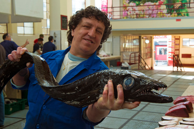 Madeira - Juwel im Atlantik