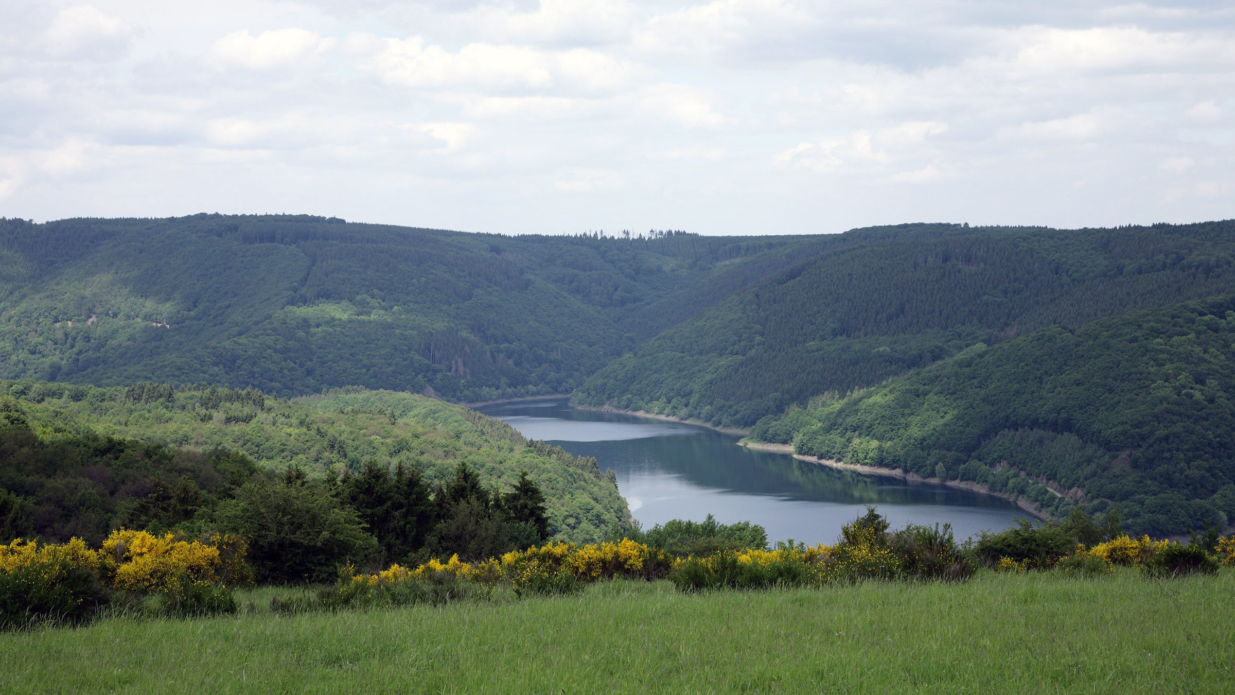 "Unsere Landschaften - Paradiese im Wandel" - Blick von der Dreiborner Hochfläche im Nationalpark Eifel auf die Urfttalsperre.