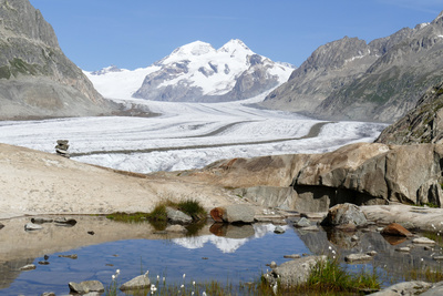 Unsere wilde Schweiz: Der Aletschgletscher