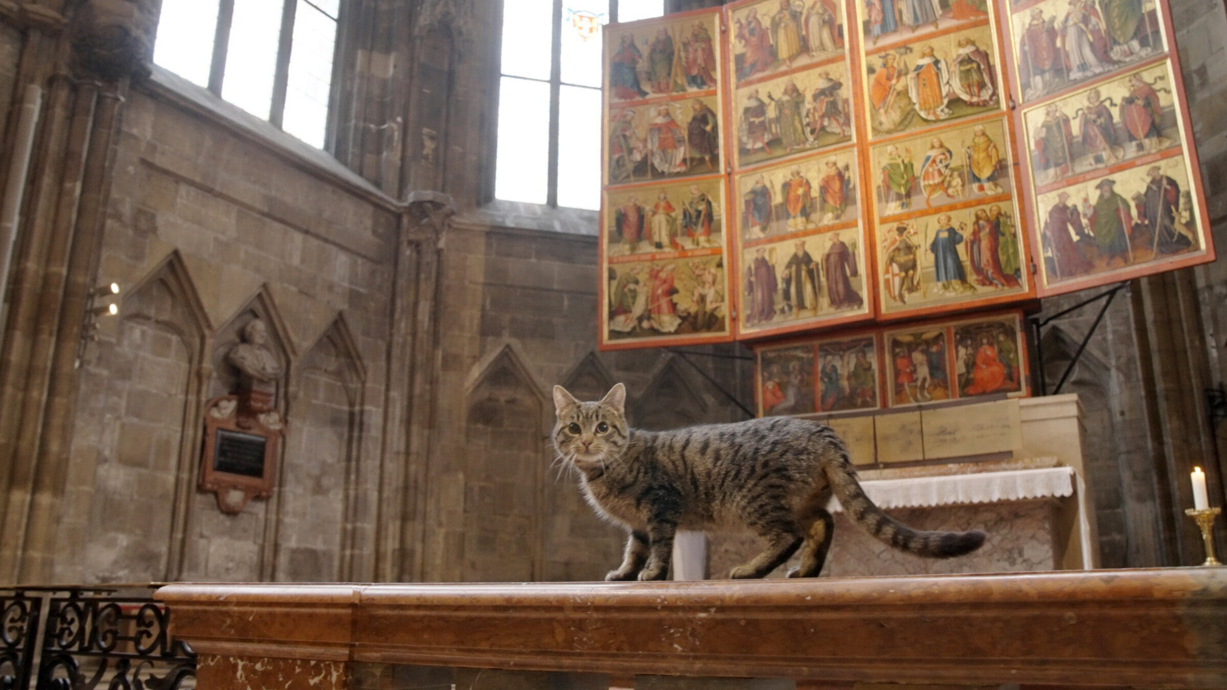 "St. Stephan und die Tiere": Katze.