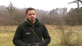 Die Lobau im Winter - Wenn die Wildnis Ruhe sucht