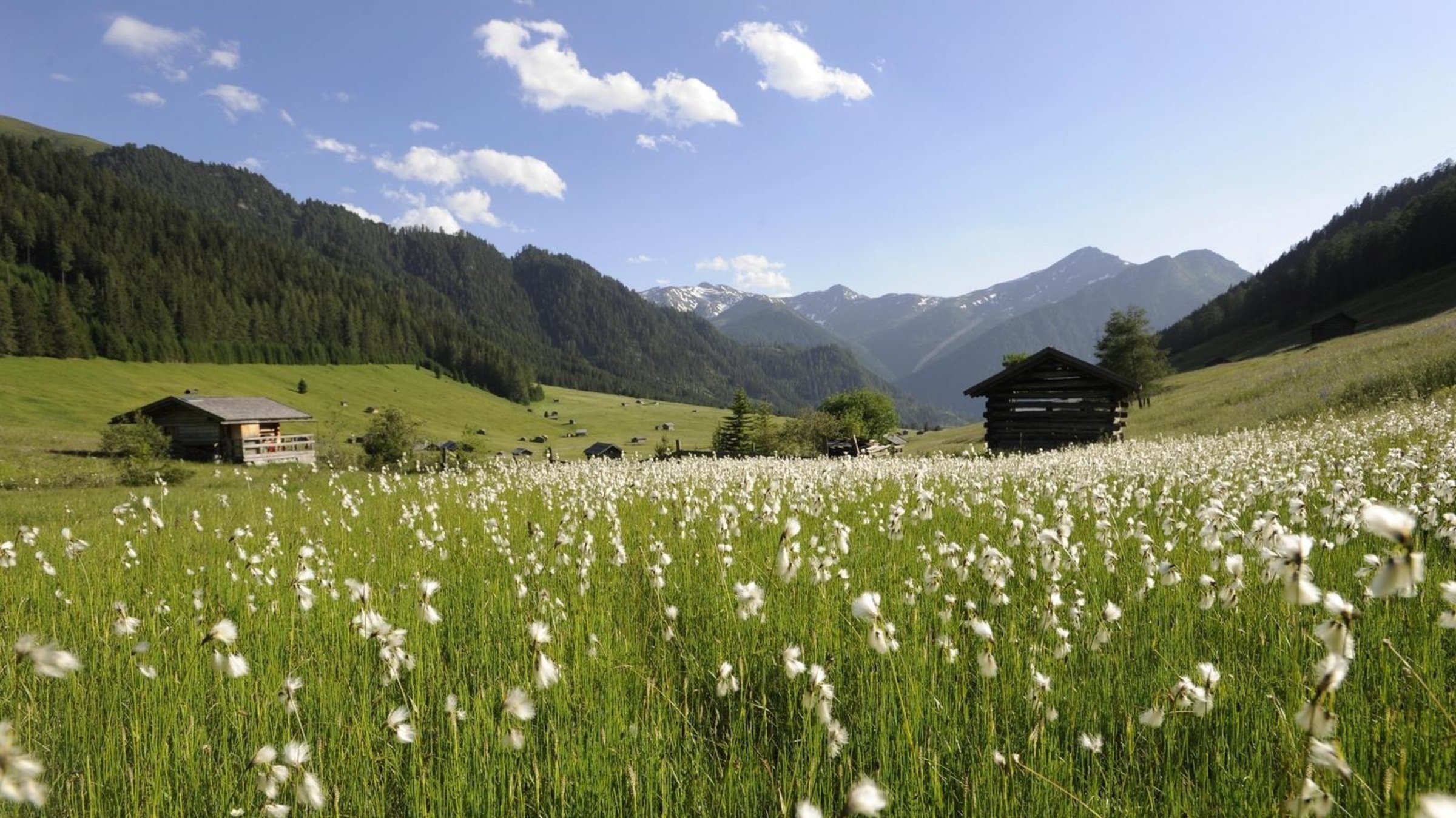 "Tiroler Naturjuwelen": Blick in das tiroler Hochtal "Pfundser Tschey" mit grünen Wiesen, zwei Hütten und Bergpanorama im Hintergrund