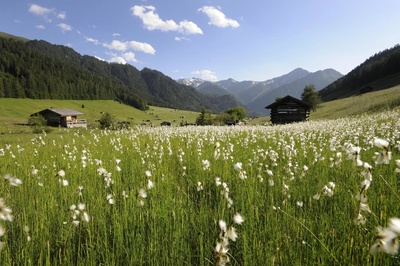 Tiroler Naturjuwelen