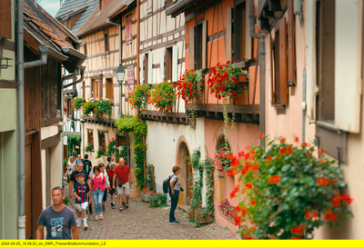 Das Elsass - Eine kulinarische Reise durch das Jahr
