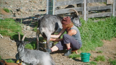 Wilde Schweiz II: Das Calancatal