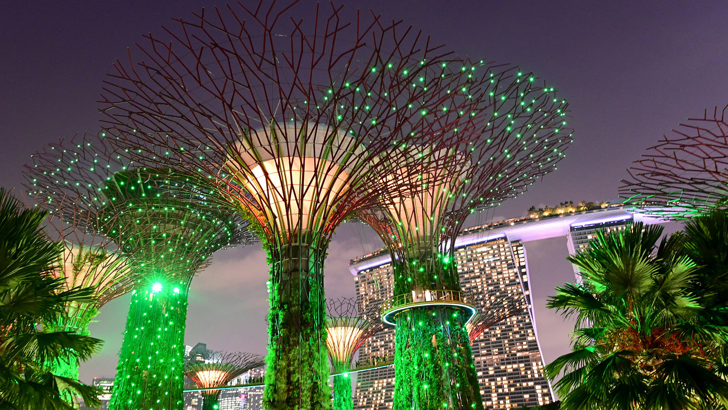 "Wunderwelt Singapur - Geisterjäger und Himmelsstürmer": Der höchste Dach-Park der Welt und spektakuläre High-Tech-Architektur: Singapur ist die Zukunftsstadt auf dem Äquator.