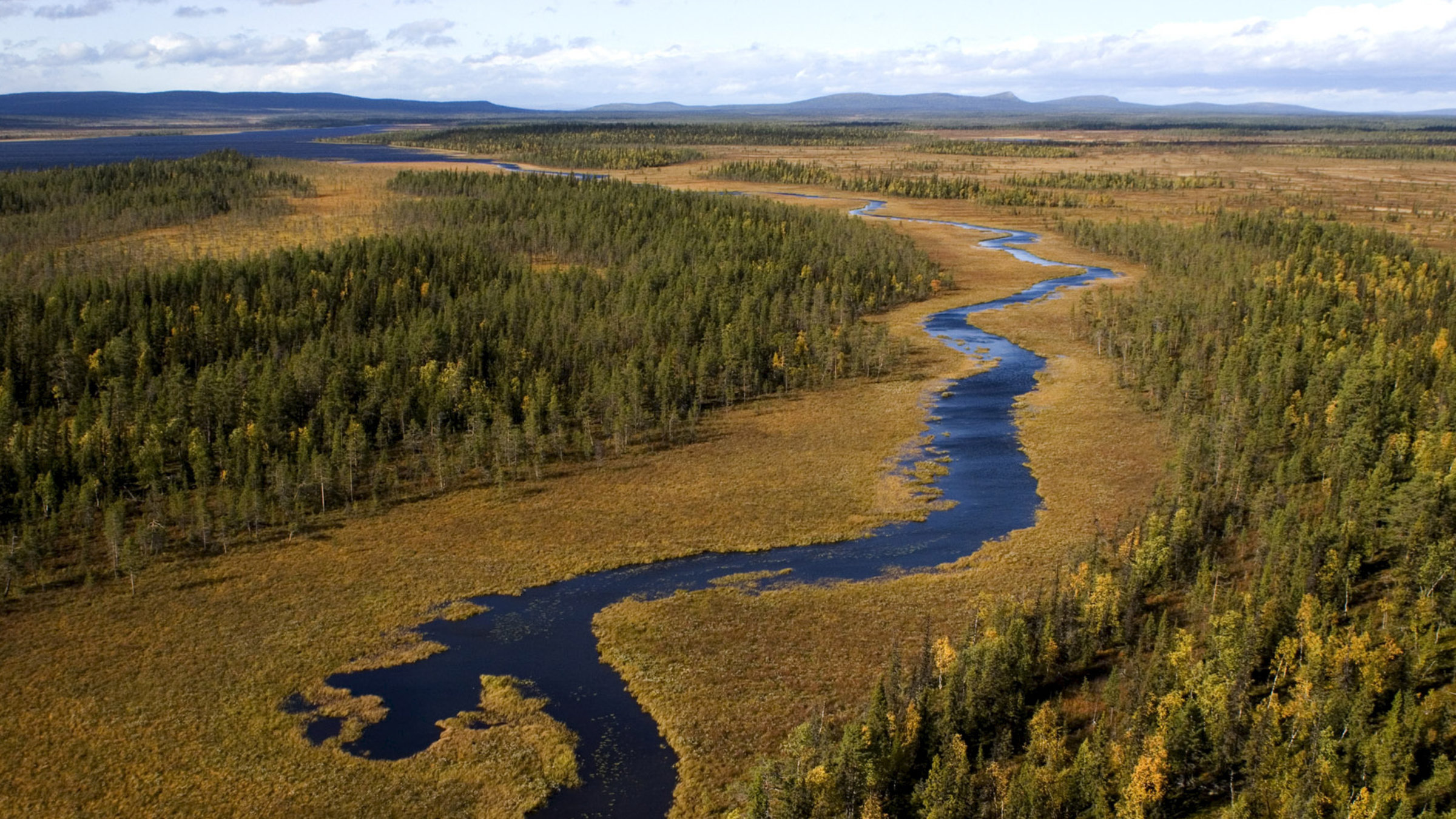 "Europas Urwälder: Unberührtes Lappland": Paradies am Polarkreis: Der Muddus-Nationalpark mit seinen alten Kiefernwäldern, Sümpfen und Seen.