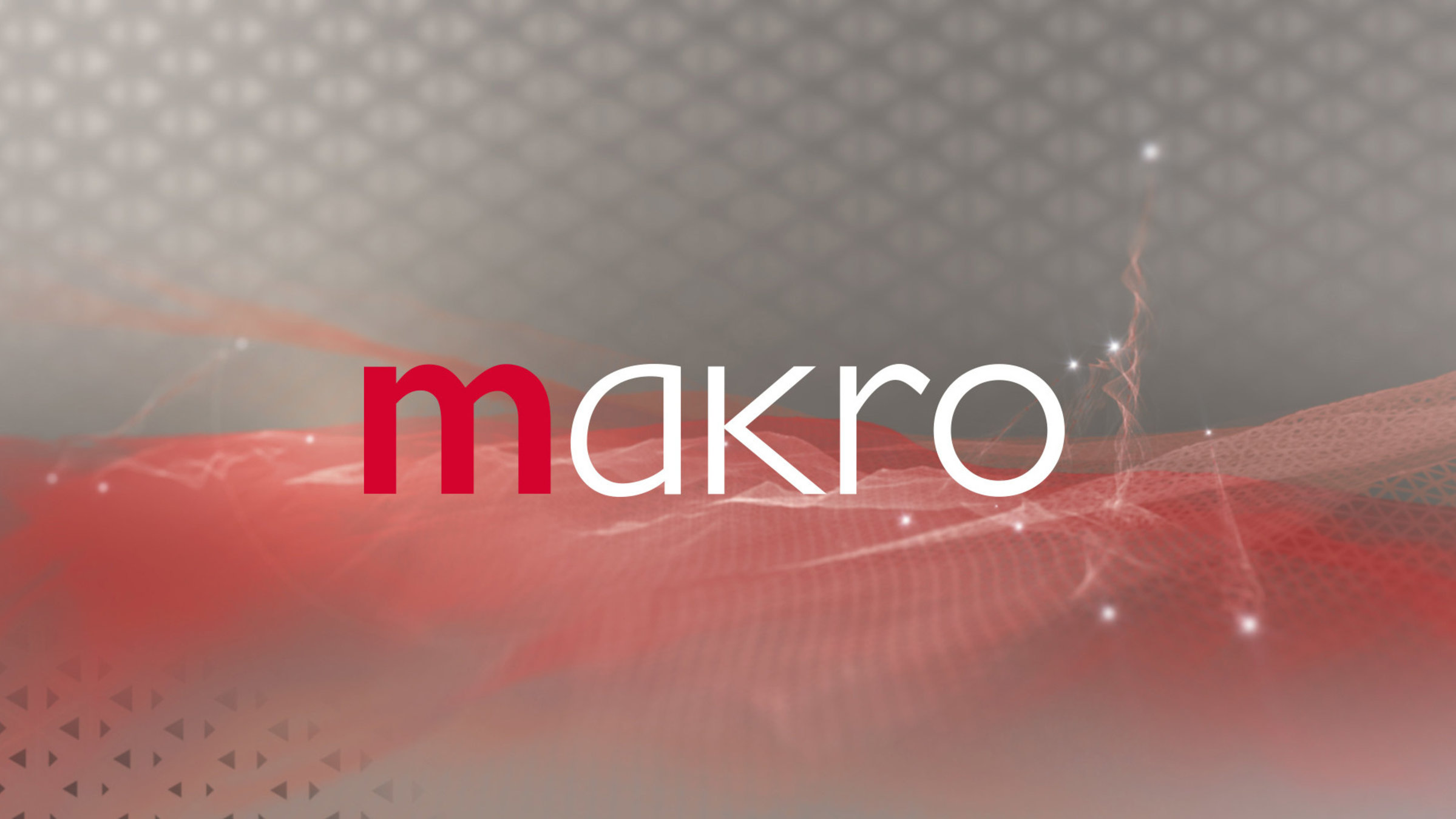 "makro": Sendungslogo
