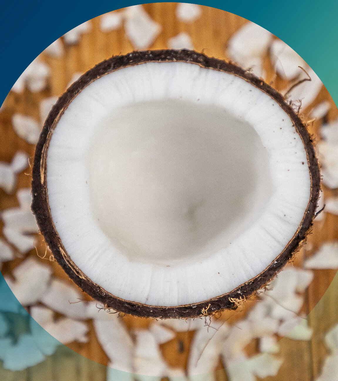 "planet e.: Genuss mit Beigeschmack - Kokosnuss": Blick von oben: Kokosraspeln liegen um eine Kokosnusshälfte.