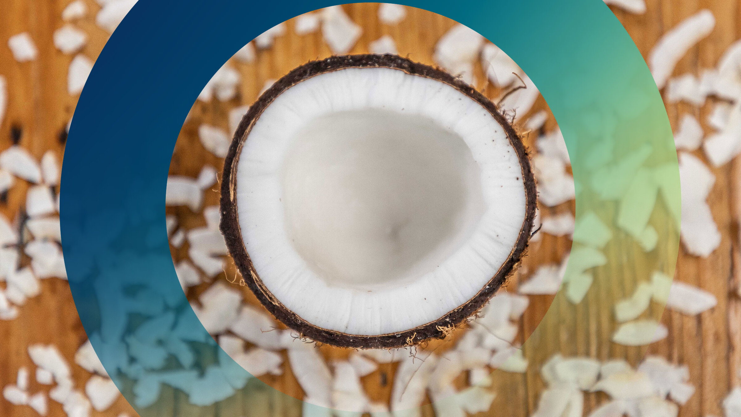"planet e.: Genuss mit Beigeschmack - Kokosnuss": Blick von oben: Kokosraspeln liegen um eine Kokosnusshälfte.