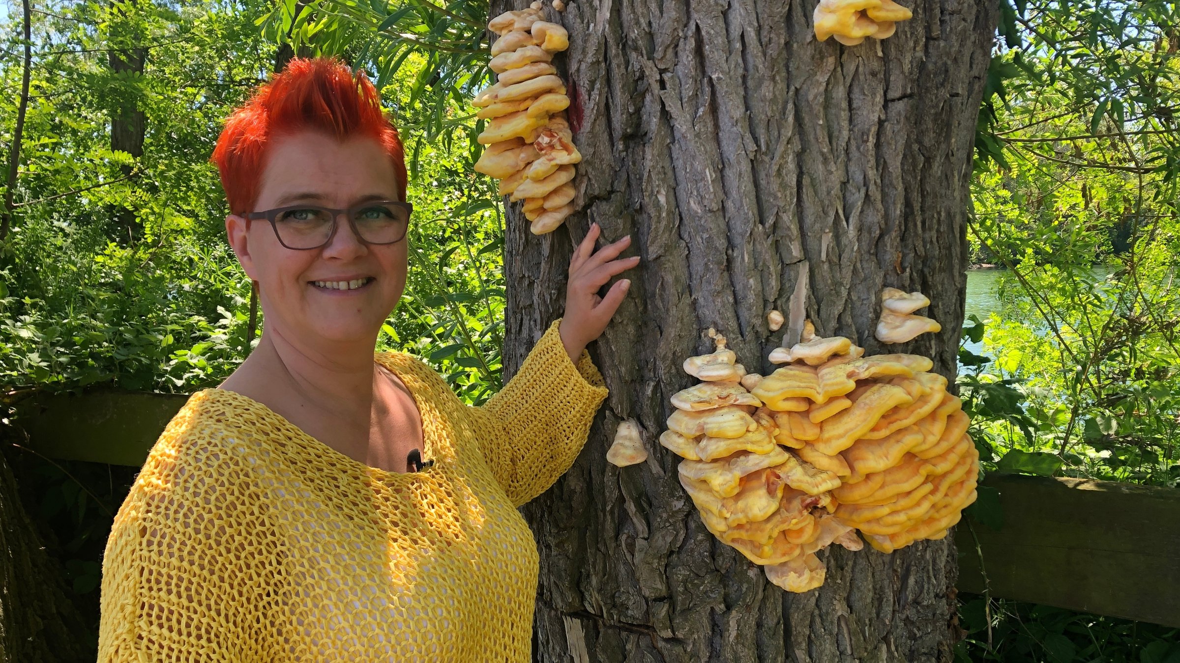 "37°: Schlag ins Herz - Wenn aus Liebe Gewalt wird": Jenny Schmetzer lehnt sich an einem Baum. Sie trägt einen gelben Pullover und schaut nach rechts, sie lächelt.