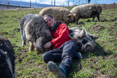 Eine Zuflucht für Tiere - Gut Aiderbichl