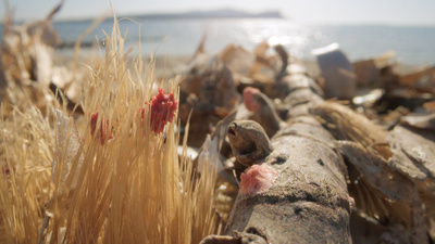 Strände Europas: Sardinien