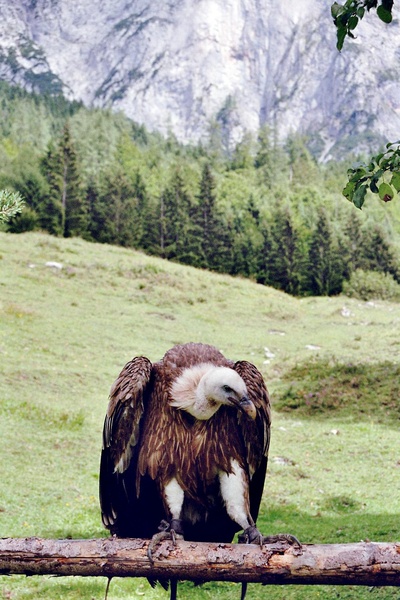 Untersberg - Sagenreiche Natur