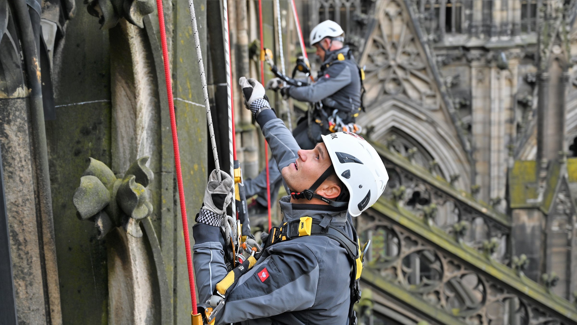 "37° Job mit Ausblick - Arbeiten in luftigen Höhen": Zwei Industriekletterer hängen an der Nordfassade des Kölner Doms.