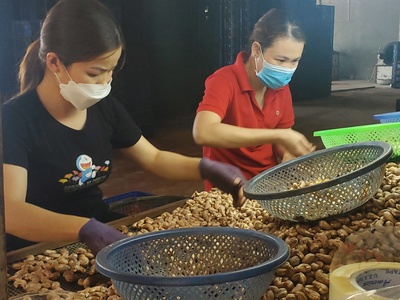 makro: Cashew und Co.