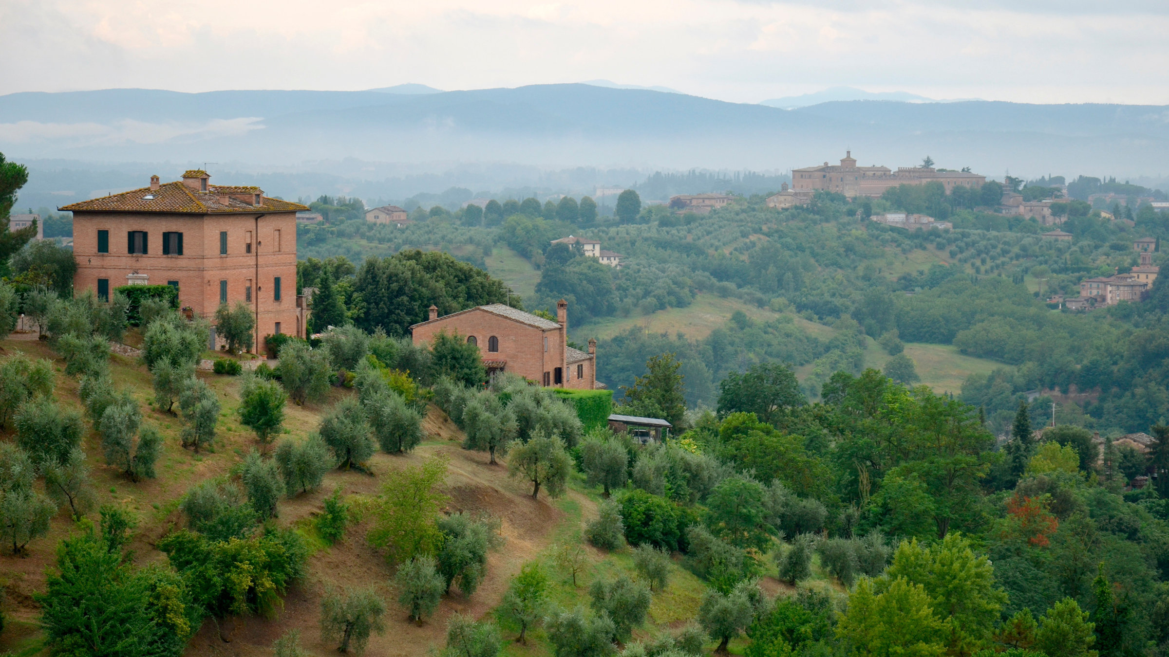 "Tamina in der Toskana": Sanfte Hügel mit Olivenhainen, Zypressenalleen und kleinen Dörfern aus gelben Tuffstein prägen die südliche Toskana.