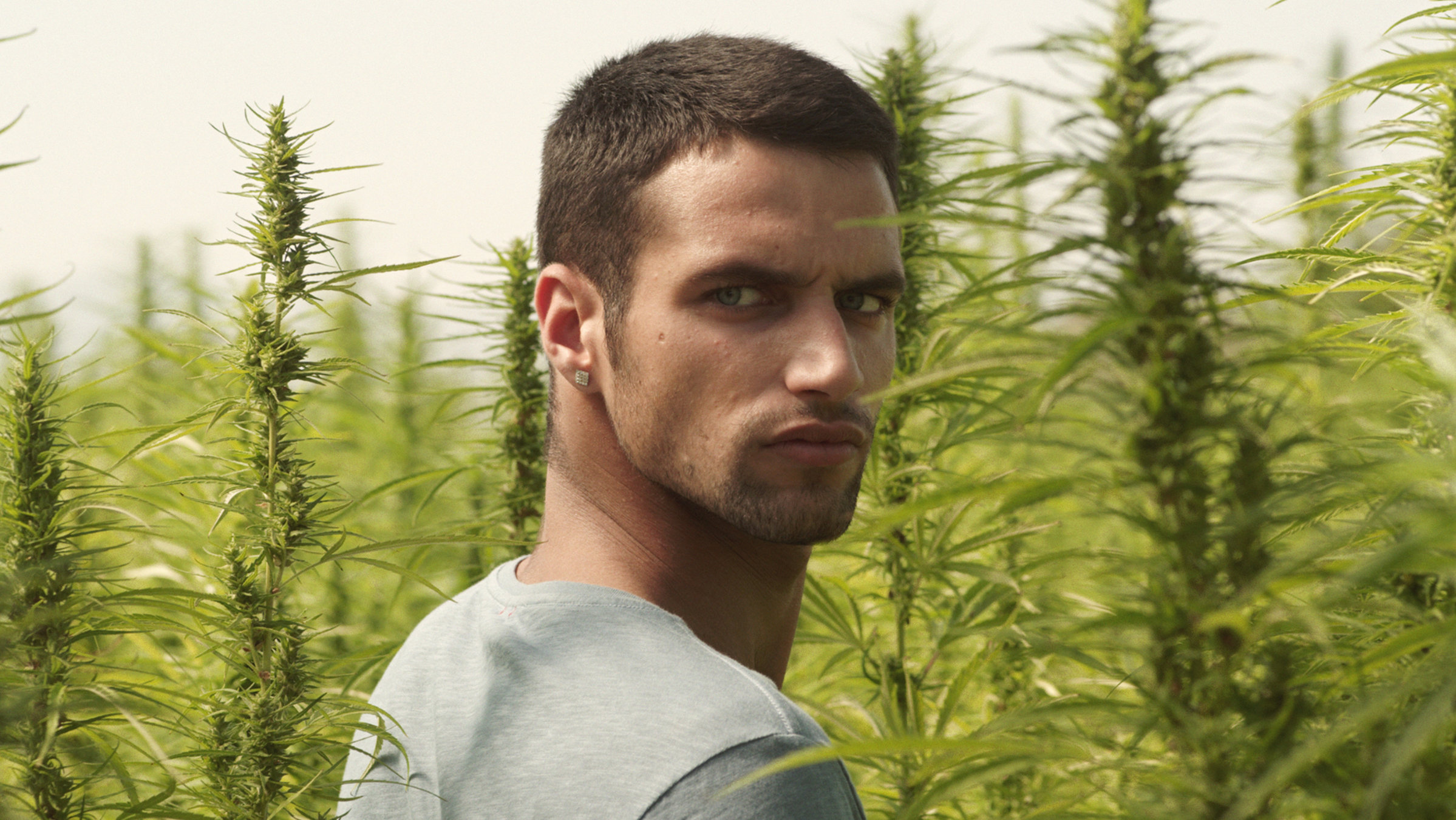 "Jagd vor Gibraltar": Niño (Jesús Castro) in Nahaufnahme vor einem Hanffeld. Er schaut mit ernstem Blick über seine rechte Schulter.