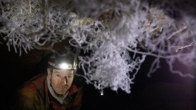 Faszination Erde - mit Dirk Steffens