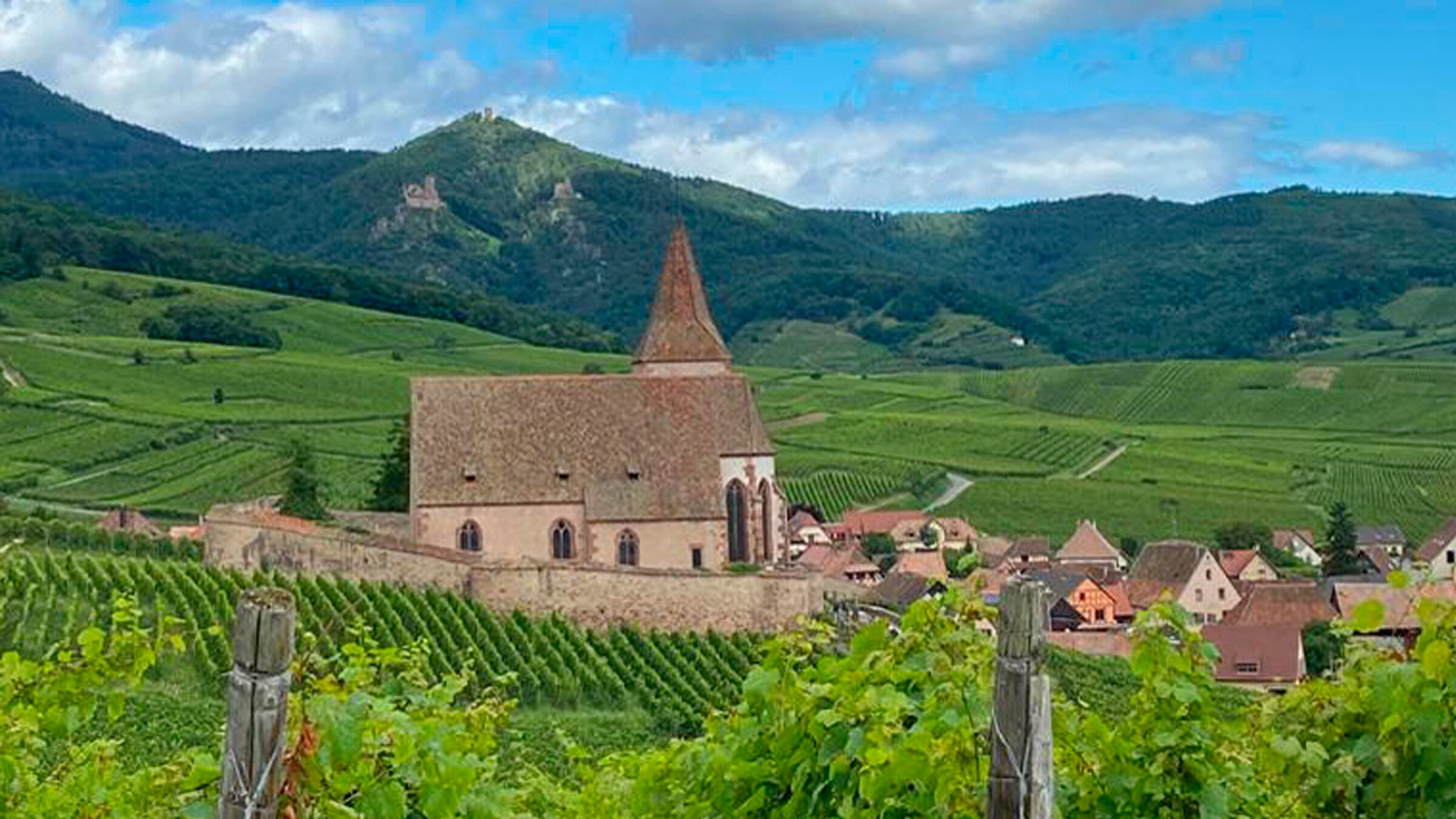 "Herbstzauber im Elsass": Das Elsass ist weltberühmt für seine Weine.