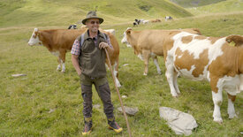 Almgeschichten aus Kärnten