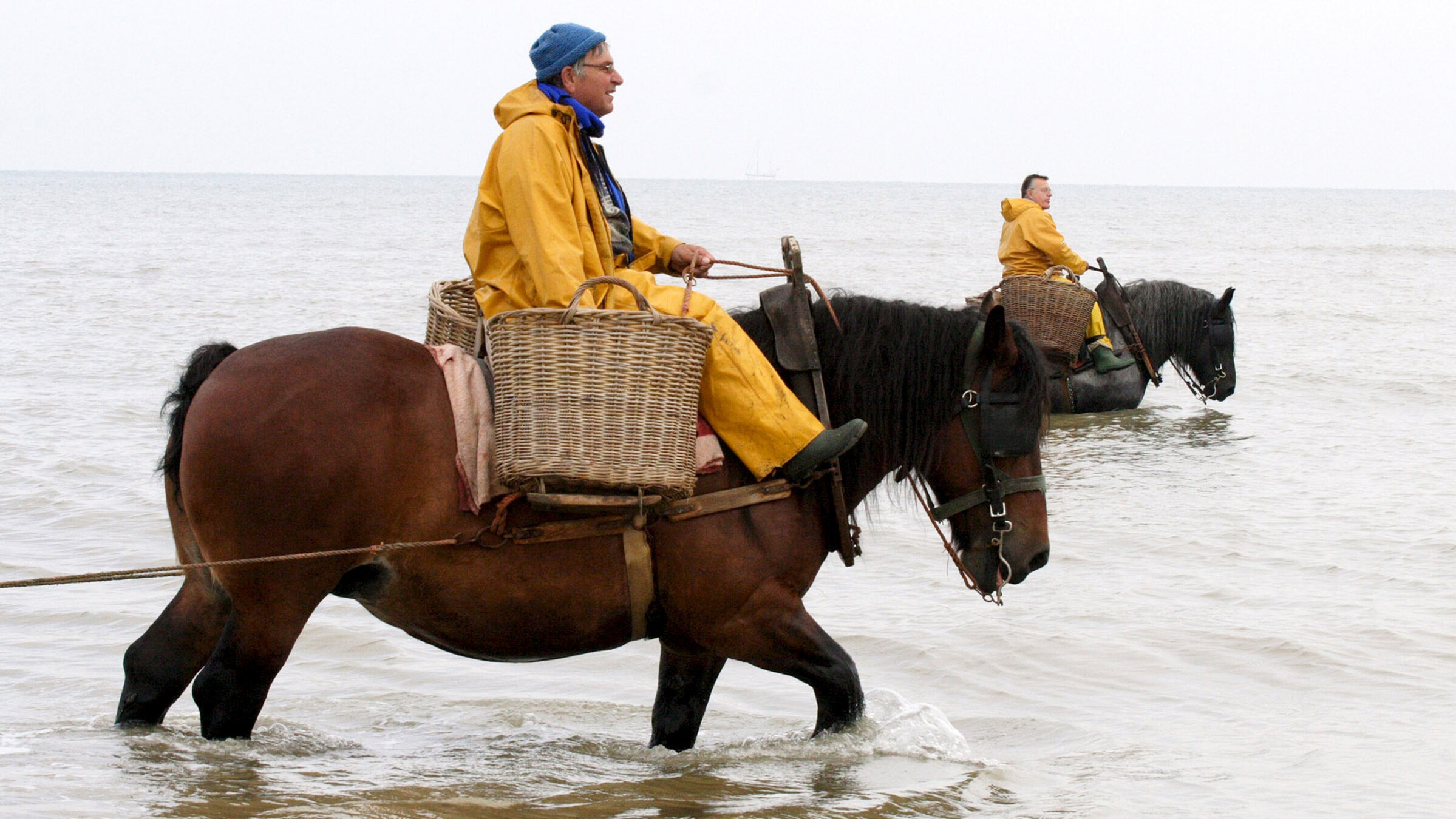 "Zu Tisch ... in Flandern": Eddy D'Hulster (li.) und Raymond Devos (re.) ziehen auf ihren Pferden Garnelennetze durchs Watt.