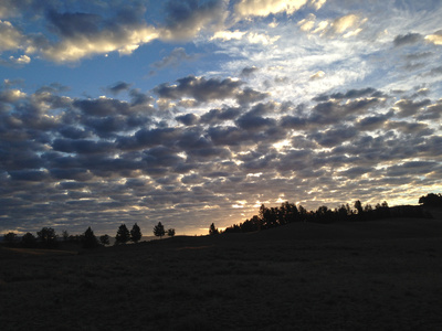 Im Zauber der Wildnis - Yellowstone