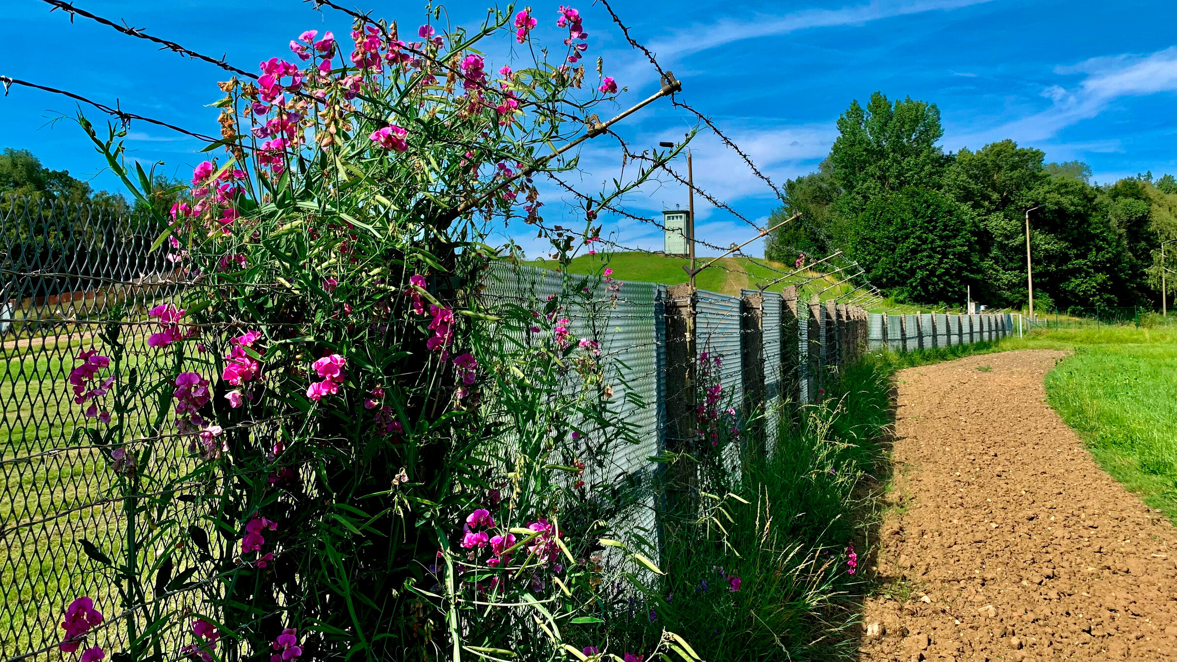 "Mauer, Bunker, Grünes Band - Die neue Erinnerungskultur": Ein Teil des Grenzdenkmals in Hötensleben (Landkreis Börde). Es ist der einzige Ort in Deutschland, an dem die Sperranlagen über mehrere hundert Meter Länge und in ihrer „Ost-West-Ausdehnung“ erhalten geblieben und damit für Besucher erlebbar sind.