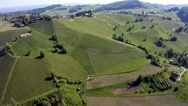 Ein Stück Österreich - Die Südsteiermark im Jahresverlauf