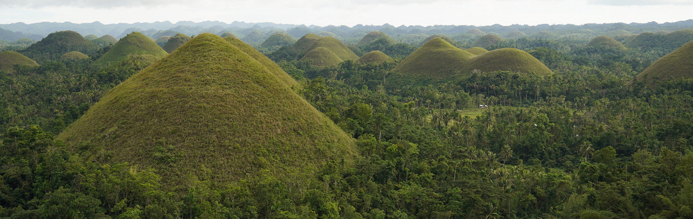 "Inselwelt Philippinen (3/3) - Schätze der Natur auf Bohol": Im Zentrum von Bohol liegen über tausend kugelförmige Hügel. Die Einheimischennennen diese Berge liebevoll Chocolate Hills, wegen der bräunlichen Farbe der grasbedecktenKuppen.