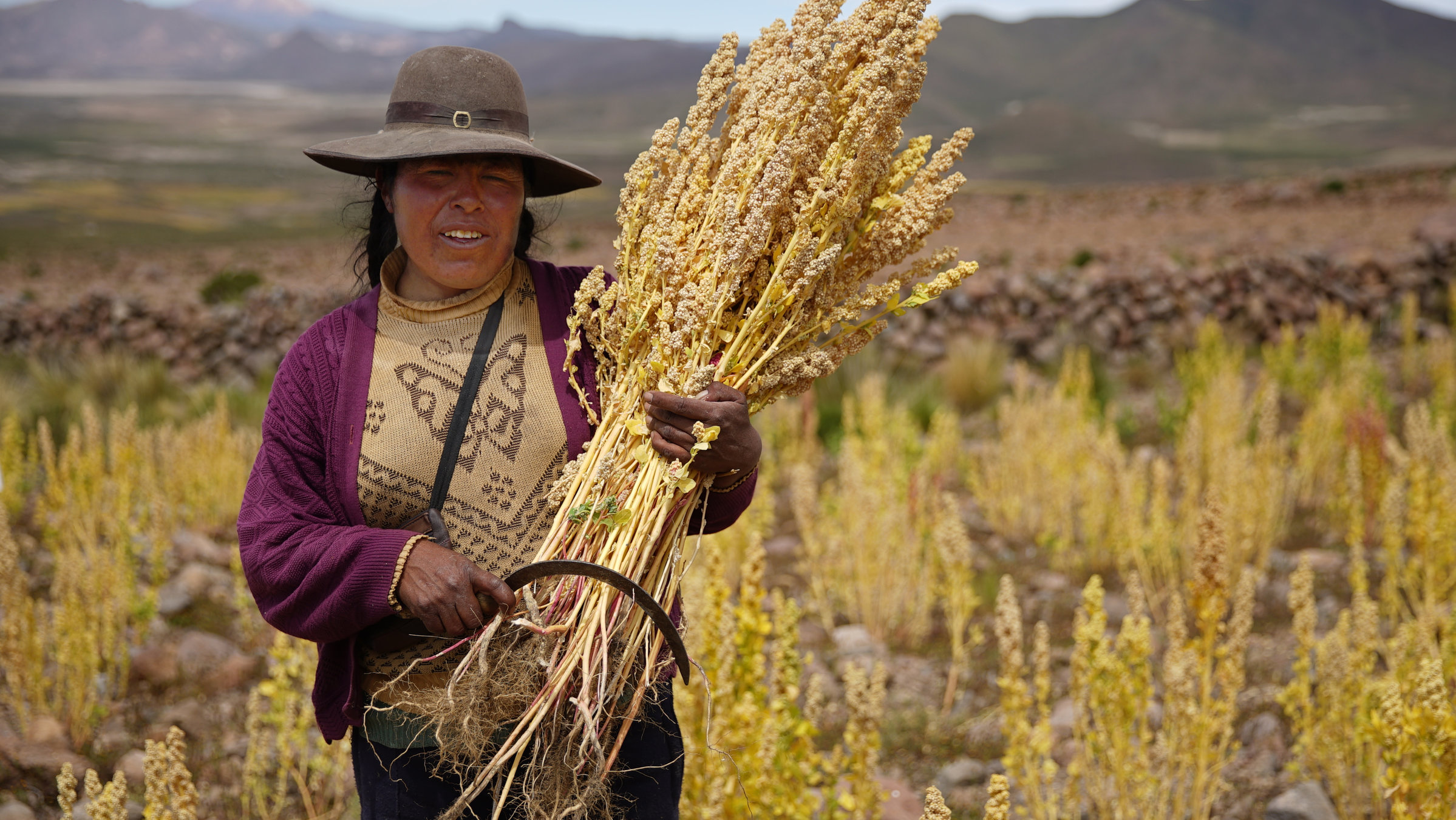 "planet e.:  Superfood - Der Hype ums gesunde Essen": Eine bolivianische Bäuerin befindet sich auf einem Anbaugebiet und hält eine Quinoa-Pflanze im Arm.