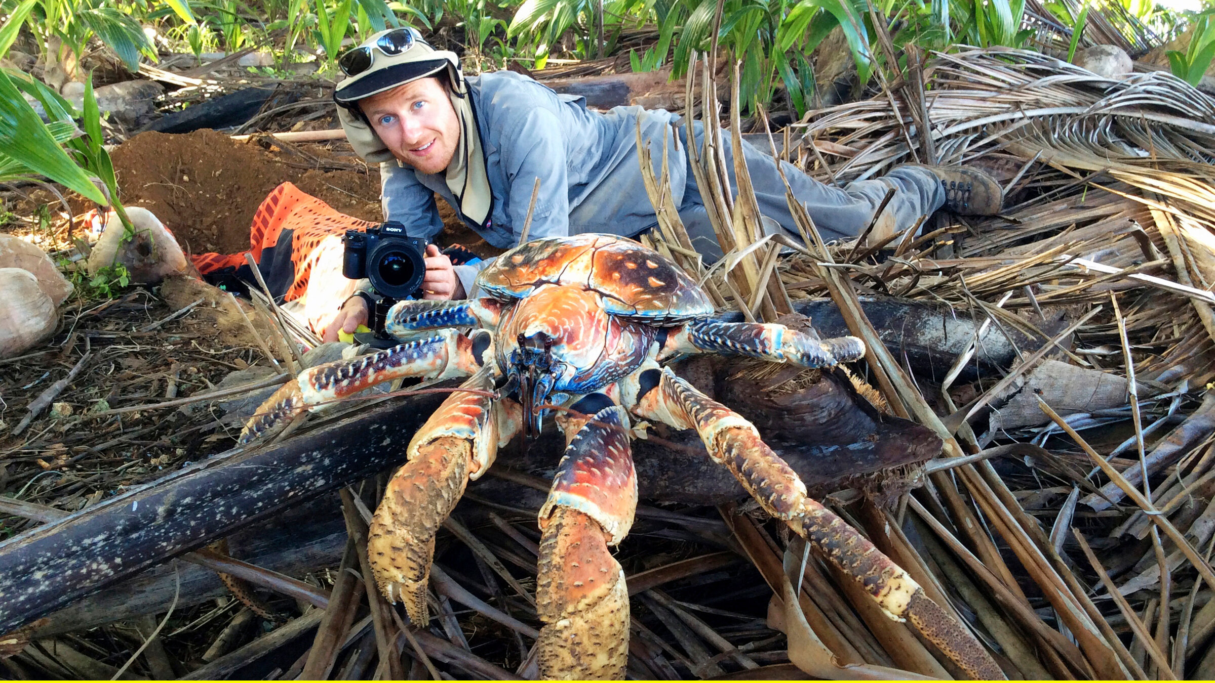 "Die Weihnachtsinsel und der Palmendieb": Kameramann Braydon Malony hat viele Jahre auf der Weihnachtsinsel verbracht.