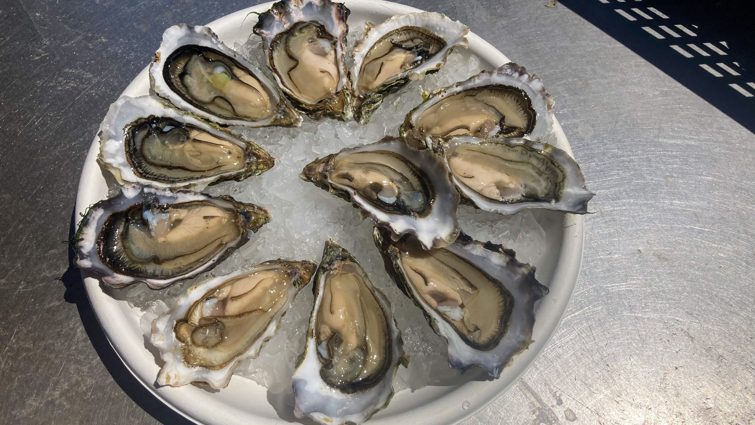 "Der Geschmack Europas - Die Gironde": Austern Cap Ferret.