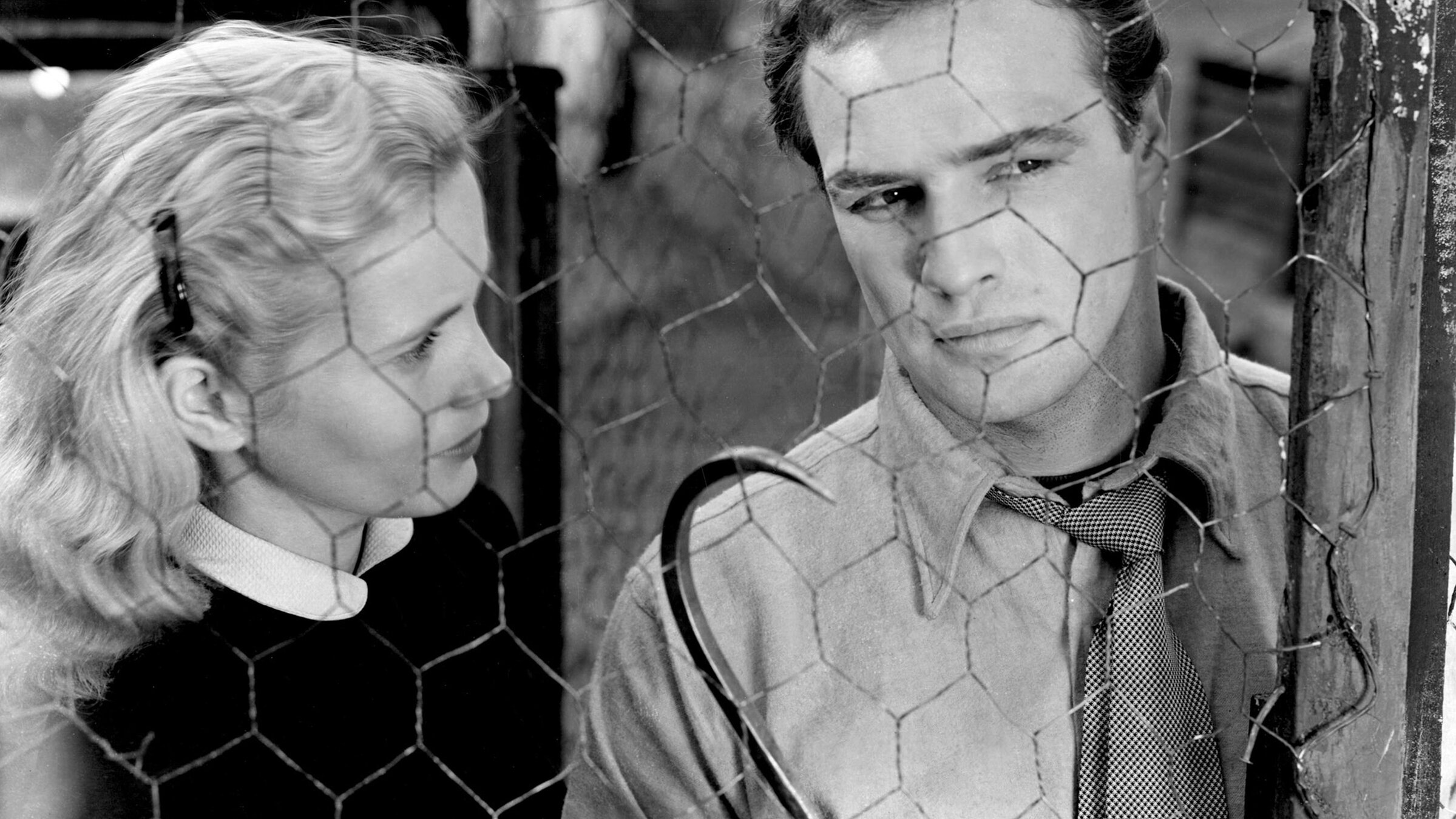 „Die Faust im Nacken“: Hinter einem einfachen Drahtzaun sieht man halbnah Edie (Eva Marie Saint) und Terry Malloy (Marlon Brando). Terry hält etwas bedrohlich wirkend einen großen metallenen Haken in der Hand.