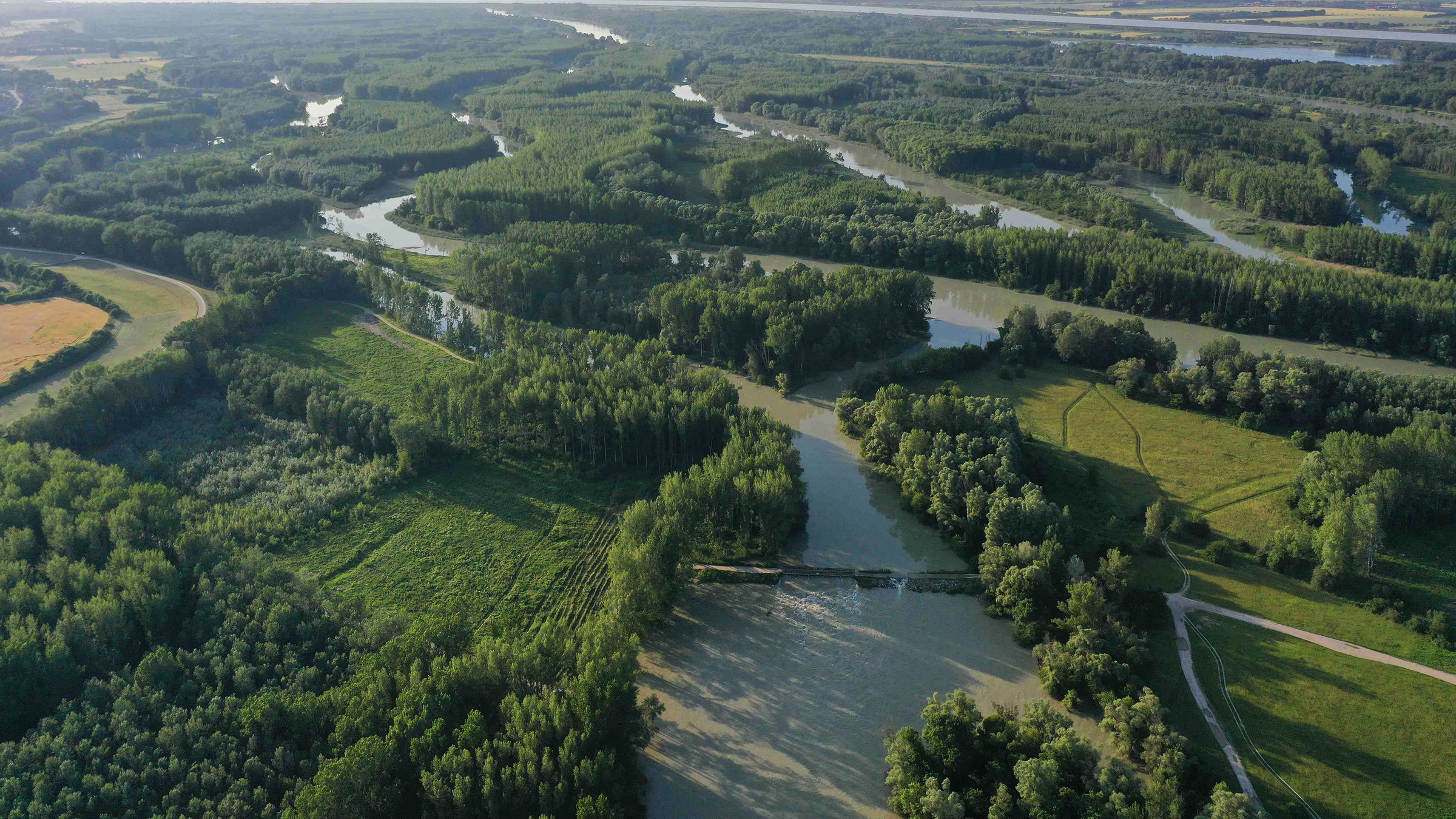 "Die Donau - Von der Wachau bis Ungarn (2/4)": Auenlandschaft in Ungarn.