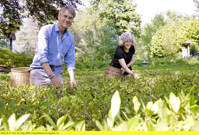 Gärten in den Alpen